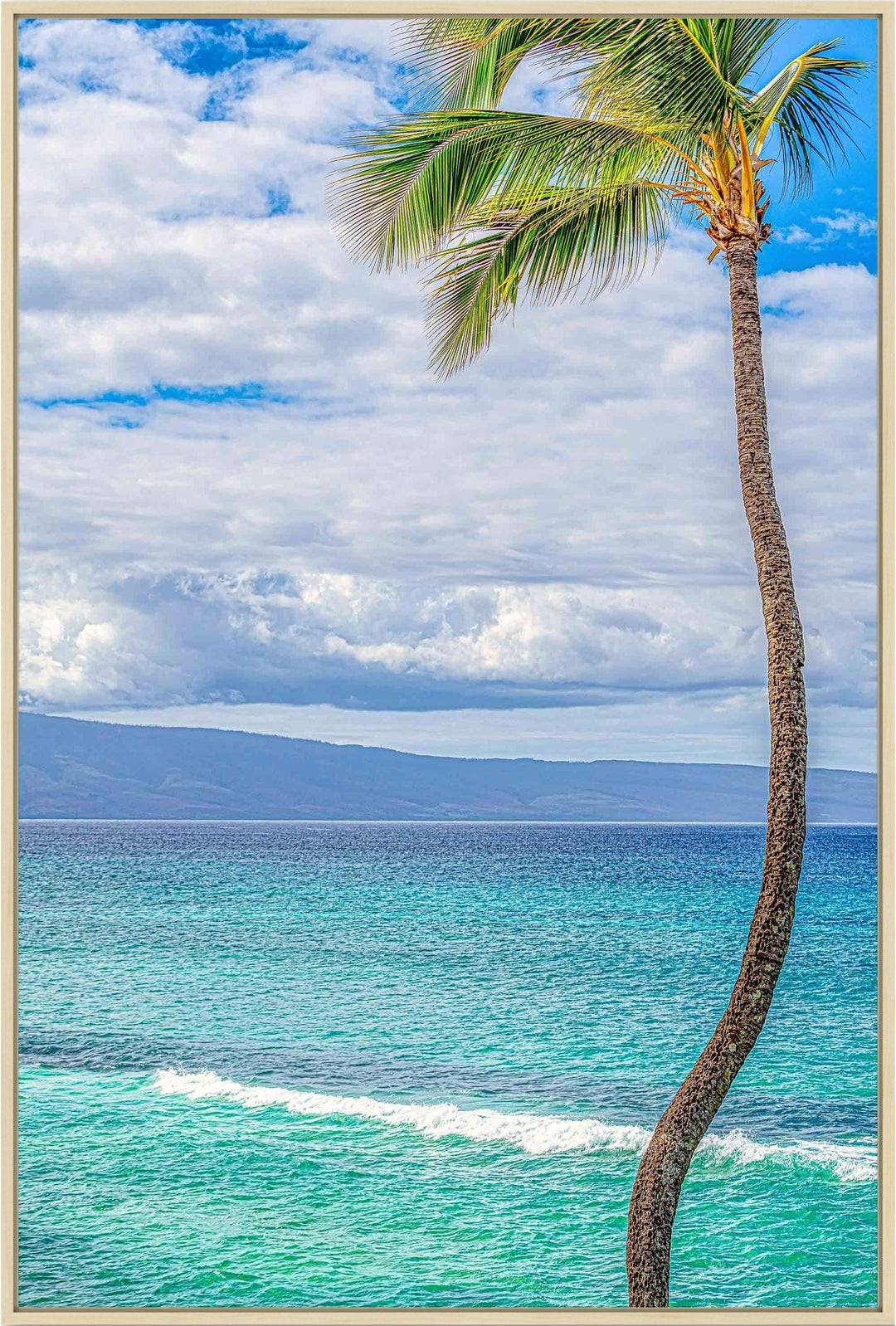 Solo - Maui Fine Art Collective - 3500-5500, 800-3500, Best Wall Artwork, blue, green, Hawaii, Island, lahaina, Lance Ehrecke, maui, Maui Hawaii Fine Art Photography, Maui Hawaii Wall Art, ocean, open-edition, over-5500, Palm Trees, palm-tree, size-16x-24, size-24-x-36, size-40-x-60, teal, vertical, Water, waves