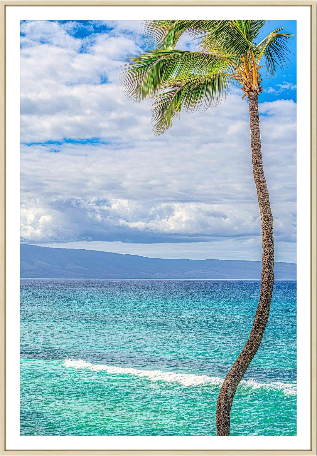 Solo - Maui Fine Art Collective - 3500-5500, 800-3500, Best Wall Artwork, blue, green, Hawaii, Island, lahaina, Lance Ehrecke, maui, Maui Hawaii Fine Art Photography, Maui Hawaii Wall Art, ocean, open-edition, over-5500, Palm Trees, palm-tree, size-16x-24, size-24-x-36, size-40-x-60, teal, vertical, Water, waves