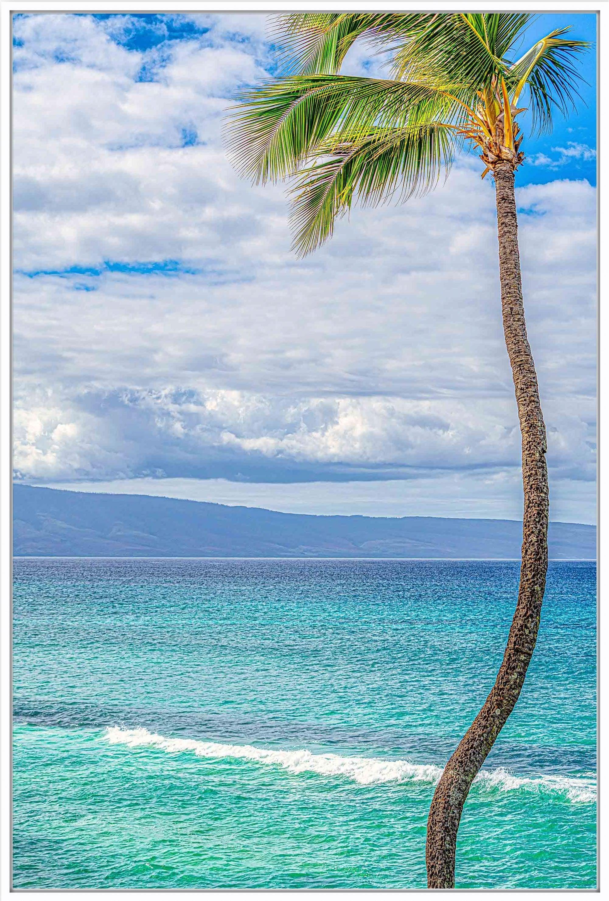 Solo | Hawaiian Palm Tree Art Print on Metal with Teal Water in