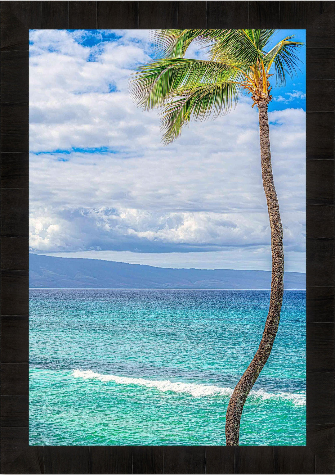 Solo - Maui Fine Art Collective - 3500-5500, 800-3500, Best Wall Artwork, blue, green, Hawaii, Island, lahaina, Lance Ehrecke, maui, Maui Hawaii Fine Art Photography, Maui Hawaii Wall Art, ocean, open-edition, over-5500, Palm Trees, palm-tree, size-16x-24, size-24-x-36, size-40-x-60, teal, vertical, Water, waves