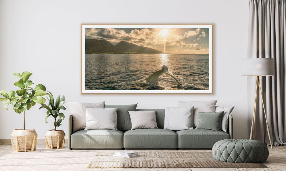 Sunrise Serenade | Lahaina's Humpback Ballet - Maui Fine Art Collective - 3500-5500, 800-3500, Acrylic, Artwork, Best Wall Artwork, black, Boat, Canvas, Coast, green, Hawaii, horizontal, Island, lahaina, Lance Ehrecke, maui, Maui Hawaii Fine Art Photography, Maui Hawaii Wall Art, Metal, Moody, Mountains, New Moments, ocean, open-edition, over-5500, panoramic, Prints, size-20-x-40, size-35-x-70, size-40-x-80, Sunrise, Visual Artwork, Water, waves, White, yellow