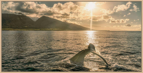 Sunrise Serenade | Lahaina's Humpback Ballet - Maui Fine Art Collective - 3500-5500, 800-3500, Acrylic, Artwork, Best Wall Artwork, black, Boat, Canvas, Coast, green, Hawaii, horizontal, Island, lahaina, Lance Ehrecke, maui, Maui Hawaii Fine Art Photography, Maui Hawaii Wall Art, Metal, Moody, Mountains, New Moments, ocean, open-edition, over-5500, panoramic, Prints, size-20-x-40, size-35-x-70, size-40-x-80, Sunrise, Visual Artwork, Water, waves, White, yellow