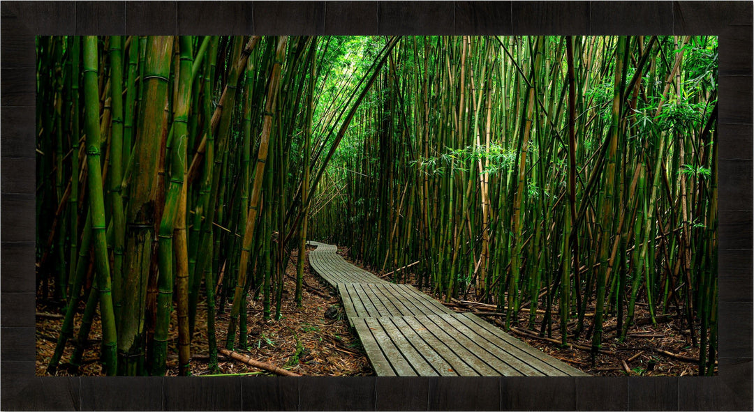 Timeless Journey - Maui Fine Art Collective - 3500-5500, 800-3500, bamboo, Best Moments, Best Sellers, Best Wall Artwork, black, forest, green, hana, Hawaii, horizontal, Island, Jungle, Lance Ehrecke, maui, Maui Hawaii Fine Art Photography, Maui Hawaii Wall Art, new arrivals, New Moments, open-edition, over-5500, panoramic, pathway, size-20-x-40, size-40-x-80, trail