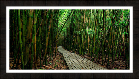 Timeless Journey - Maui Fine Art Collective - 3500-5500, 800-3500, bamboo, Best Moments, Best Sellers, Best Wall Artwork, black, forest, green, hana, Hawaii, horizontal, Island, Jungle, Lance Ehrecke, maui, Maui Hawaii Fine Art Photography, Maui Hawaii Wall Art, new arrivals, New Moments, open-edition, over-5500, panoramic, pathway, size-20-x-40, size-40-x-80, trail