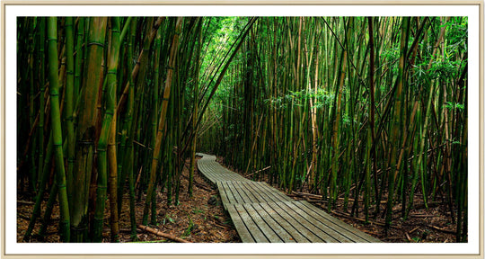 Timeless Journey - Maui Fine Art Collective - 3500-5500, 800-3500, bamboo, Best Moments, Best Sellers, Best Wall Artwork, black, forest, green, hana, Hawaii, horizontal, Island, Jungle, Lance Ehrecke, maui, Maui Hawaii Fine Art Photography, Maui Hawaii Wall Art, new arrivals, New Moments, open-edition, over-5500, panoramic, pathway, size-20-x-40, size-40-x-80, trail