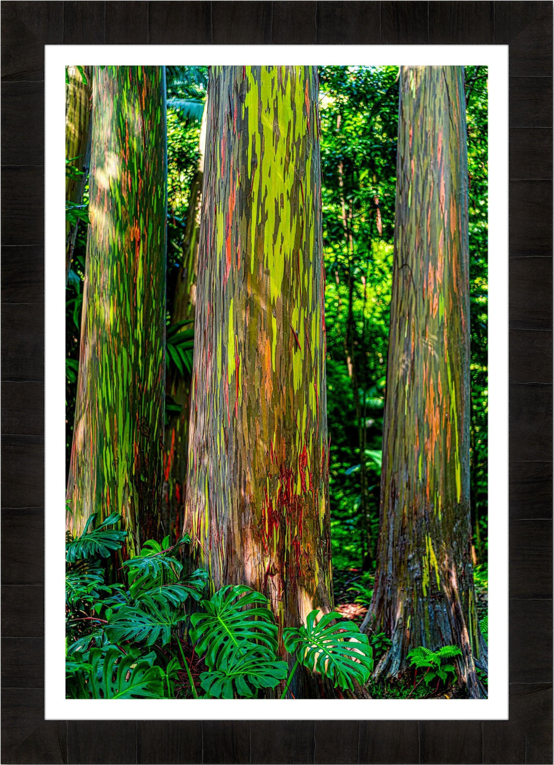 Tremendous Trio - Maui Fine Art Collective - 3500-5500, 800-3500, Best Wall Artwork, blue, green, hana, Hawaii, Island, Jungle, Lance Ehrecke, maui, Maui Hawaii Fine Art Photography, Maui Hawaii Wall Art, open-edition, over-5500, size-16x-24, size-24-x-36, size-40-x-60, Trees, vertical