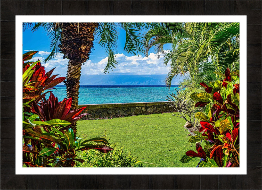 Wonderful Window - Maui Fine Art Collective - 3500-5500, 800-3500, Best Wall Artwork, blue, green, Hawaii, horizontal, Island, lahaina, Lance Ehrecke, maui, Maui Hawaii Fine Art Photography, Maui Hawaii Wall Art, ocean, open-edition, over-5500, Palm Trees, palm-tree, rocks, size-16x-24, size-24-x-36, size-40-x-60, teal, waves