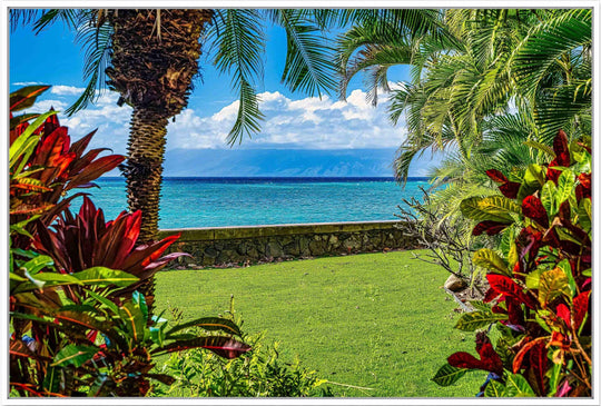 Wonderful Window - Living Moments Media - 3500-5500, 800-3500, Best Wall Artwork, blue, green, Hawaii, horizontal, Island, lahaina, maui, Maui Hawaii Fine Art Photography, Maui Hawaii Wall Art, ocean, open-edition, over-5500, Palm Trees, palm-tree, rocks, size-16x-24, size-24-x-36, size-40-x-60, teal, waves
